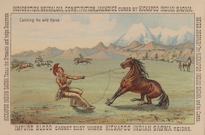 Nativo americano capturando un caballo salvaje de American School